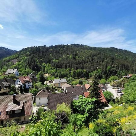 Ferienwohnung Am Rubersbach Hornberg Exteriér fotografie