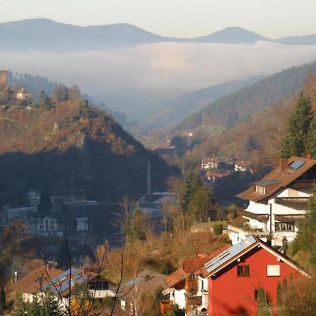 Ferienwohnung Am Rubersbach Hornberg Exteriér fotografie